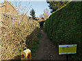 Public footpath 3660, Ifield, Crawley