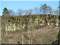 Woodland clearance exposes a rock face