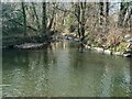 Confluence of the Lash and the Loughor