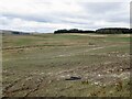 Rough pasture, Cairny Hill