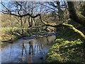 River Browney near Relly Mill