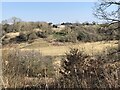 View to Bearpark Hall Farm