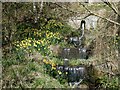 Cascade at Craigencalt Mill