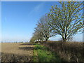 Footpath at a field