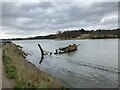 TM2849 : Wreck on the River Deben by Chris Holifield
