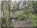 Junction of Burstow Stream and side stream