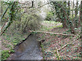 Burstow Stream downstream of Langshott bridge