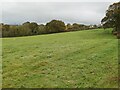 Field near Newtown