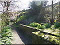 The Pennine Way near Lothersdale