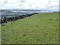 The Pennine Way near Cowling Hill