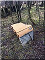 Morris Marina door in woodland near the Aluminium Works, Fort William