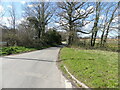 Tuttington Road from the crossroads