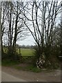 Gate into field, north of Coldridge