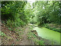 On the towpath of the canal, looking NW