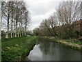 The River Bain, Horncastle