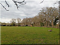 Field west of Peeks Brook Lane