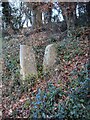 Stone Stile, Thrupp