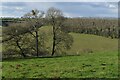 View across valley towards Leyshill Wood