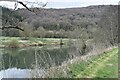 Bend in River Wye below New Weir Grove