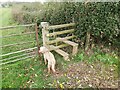 SY0999 : Stile on a Public Footpath by John P Reeves