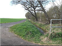 TA0946 : Track and drain by Heigholme lane by David Brown
