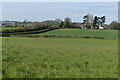 Field view towards Close-Turf Farm