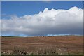 NO5052 : Field near Rescobie Loch by Mary Rodgers