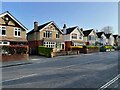 Houses along Highgate Lane