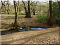 A crossing point of Ifield Mill Stream