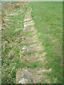 Stone trod near Westonby Farm