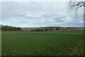 Fields beside a bridleway