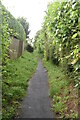 Footpath to Friston