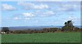 View towards the Gower from high ground to the east of Kenfig