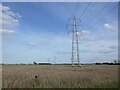 Uncultivated field and power line