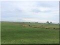 Alnmouth Golf Links