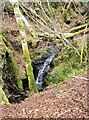 Cascade on the Dovecrag Burn