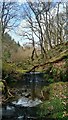 Waterfalls on the Dovecrag Burn