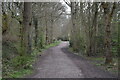 Cycle route along the edge of Newton Wood