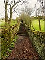 Elland Footpath 66 approaching the steps, Old Lindley 