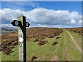 SO4090 : Sign along the Port Way on the Long Mynd by Mat Fascione