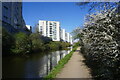 Grand Union Canal towards bridge #200