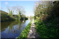 Grand Union Canal towards bridge #199