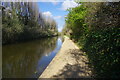 Grand Union Canal towards bridge #198