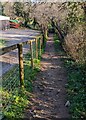 Path past the edge of the Scout site, Penperlleni