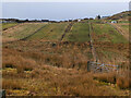 Fields at Scourie