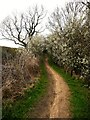 Harewood Bridleway 20, north of Brandon