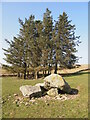 The Remains of Maen Pebyll Long Barrow