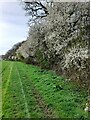 Public footpath