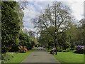 Path in Palmerston Park