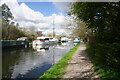 Grand Union Canal towards bridge #190